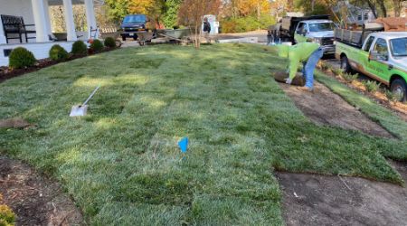 new lawn installation