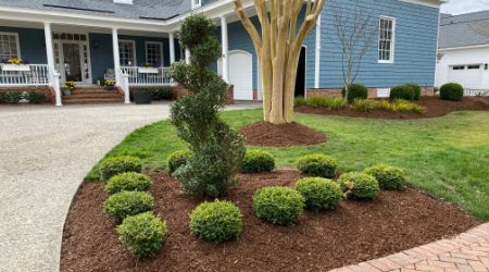 garden beds