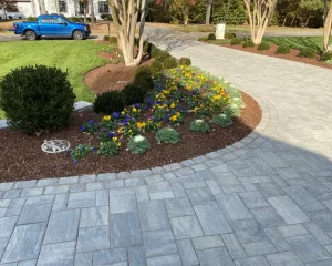 Front Entry Landscape Design