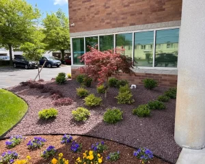 Example of low maintenance xeriscaping